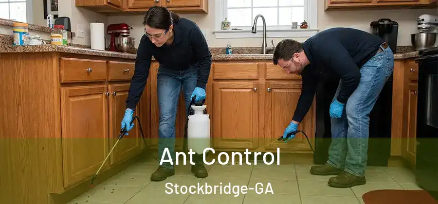 Ant Control Stockbridge-GA
