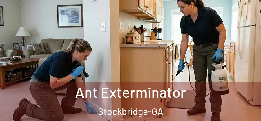 Ant Exterminator Stockbridge-GA