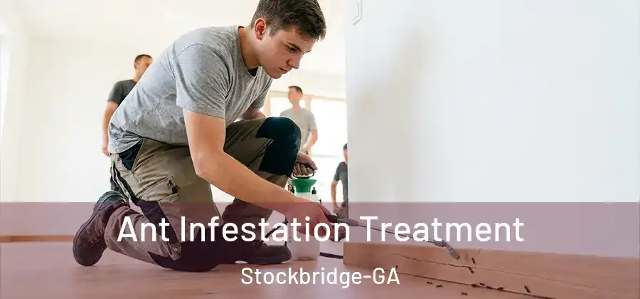 Ant Infestation Treatment Stockbridge-GA