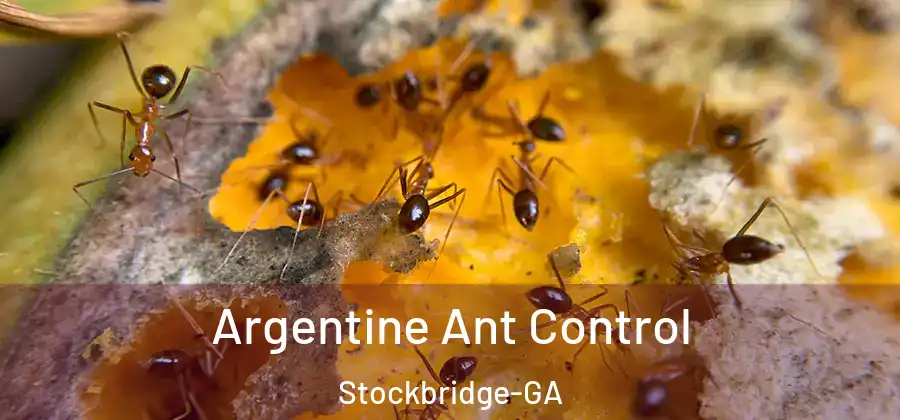 Argentine Ant Control Stockbridge-GA