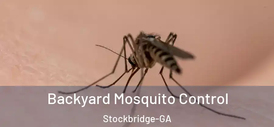 Backyard Mosquito Control Stockbridge-GA