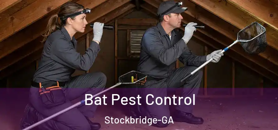 Bat Pest Control Stockbridge-GA