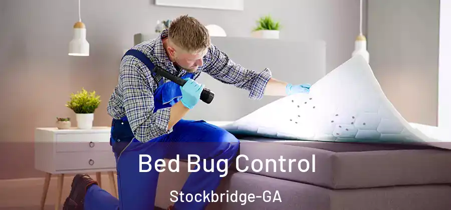 Bed Bug Control Stockbridge-GA