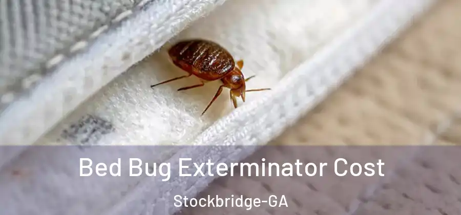 Bed Bug Exterminator Cost Stockbridge-GA