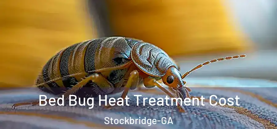 Bed Bug Heat Treatment Cost Stockbridge-GA
