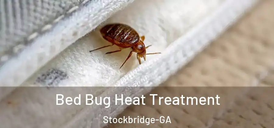  Bed Bug Heat Treatment Stockbridge-GA