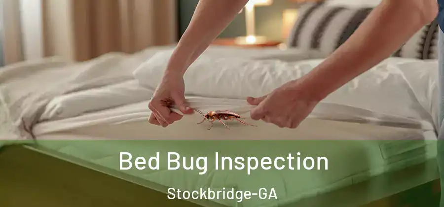 Bed Bug Inspection Stockbridge-GA