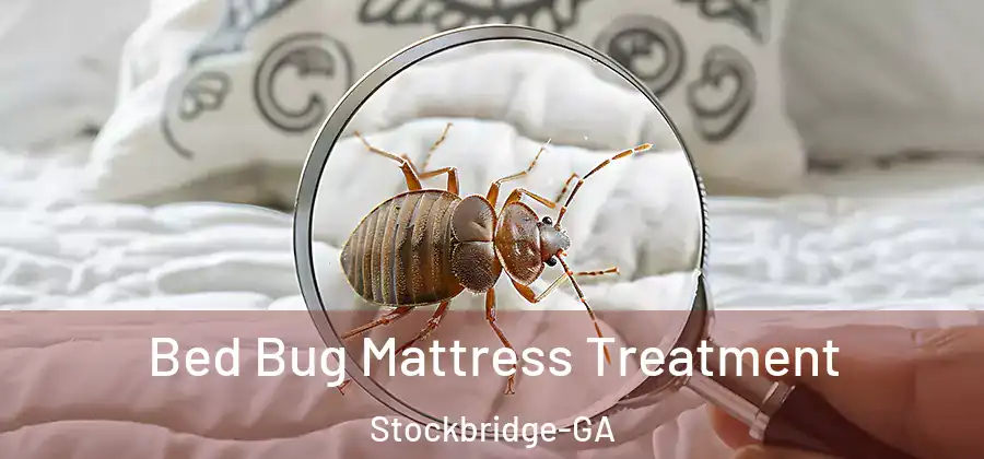  Bed Bug Mattress Treatment Stockbridge-GA