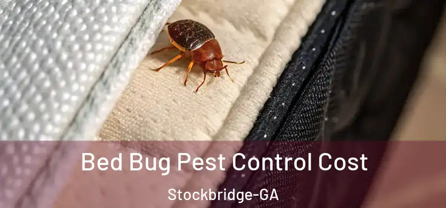 Bed Bug Pest Control Cost Stockbridge-GA