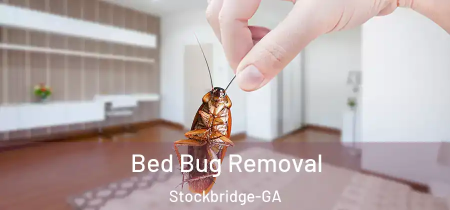 Bed Bug Removal Stockbridge-GA