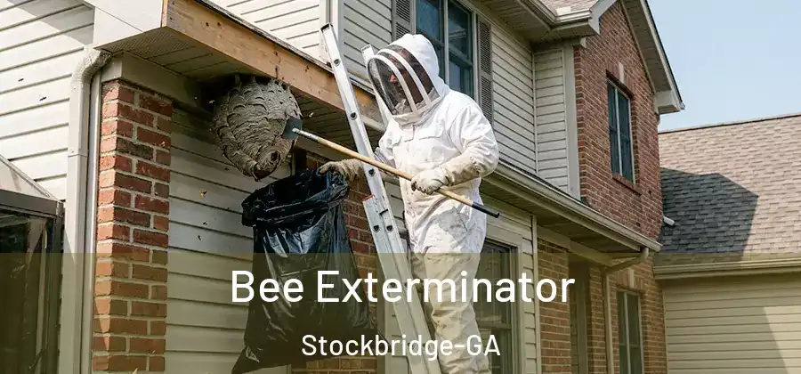 Bee Exterminator Stockbridge-GA
