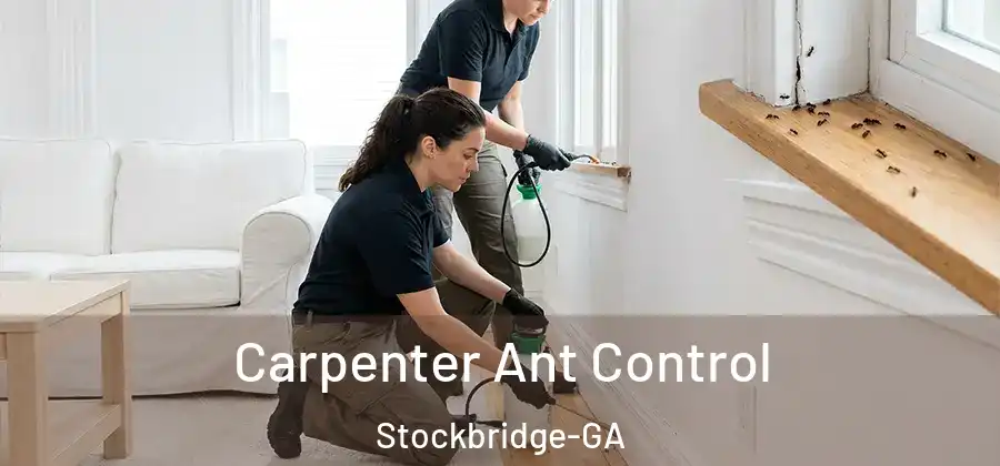 Carpenter Ant Control Stockbridge-GA