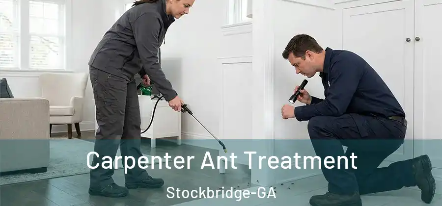 Carpenter Ant Treatment Stockbridge-GA