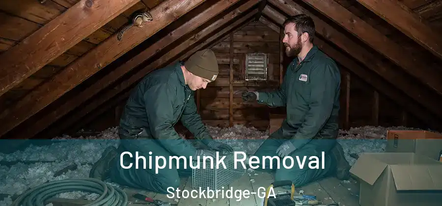  Chipmunk Removal Stockbridge-GA