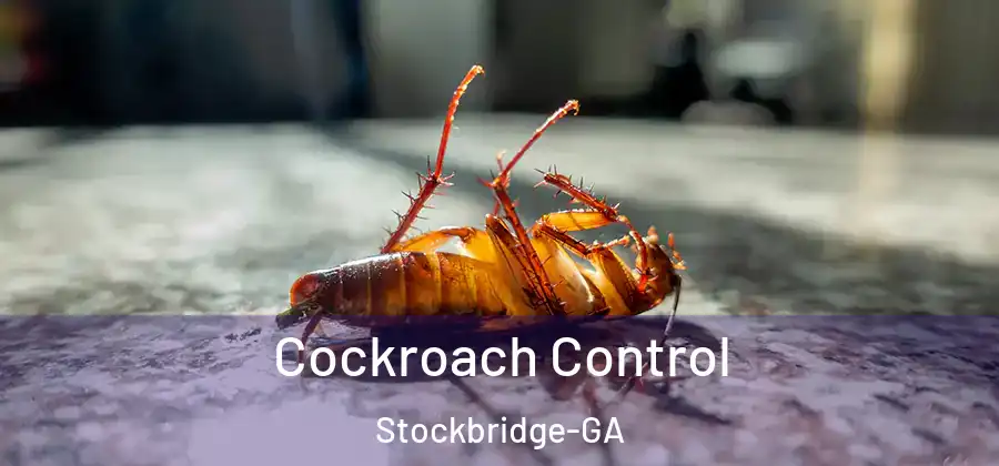 Cockroach Control Stockbridge-GA