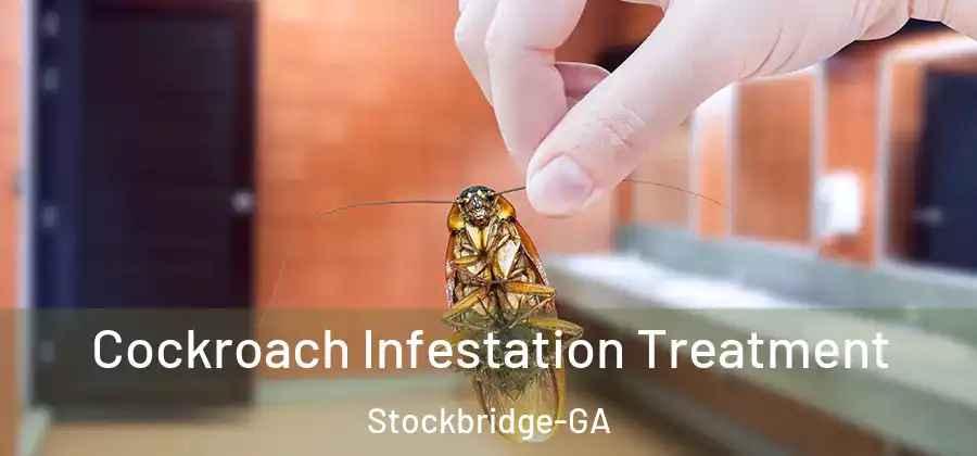 Cockroach Infestation Treatment Stockbridge-GA