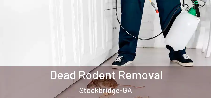 Dead Rodent Removal Stockbridge-GA