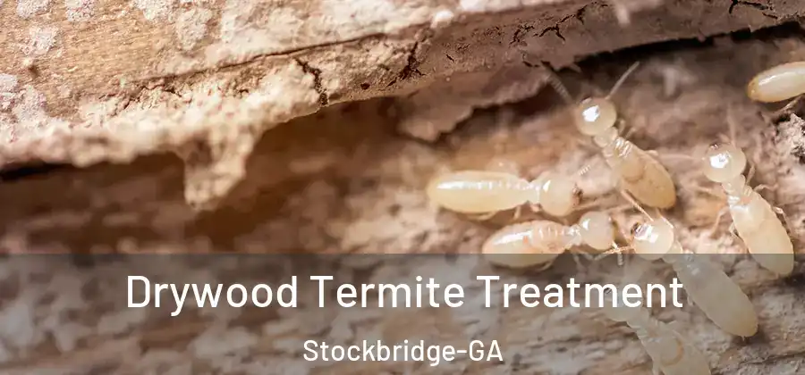  Drywood Termite Treatment Stockbridge-GA