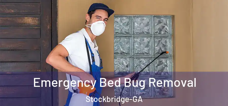 Emergency Bed Bug Removal Stockbridge-GA