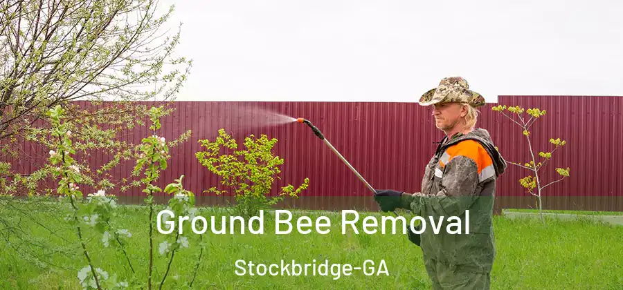 Ground Bee Removal Stockbridge-GA