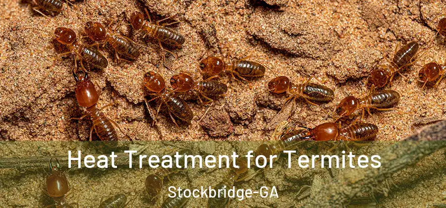 Heat Treatment for Termites Stockbridge-GA