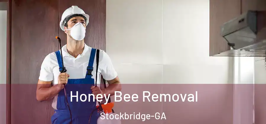 Honey Bee Removal Stockbridge-GA