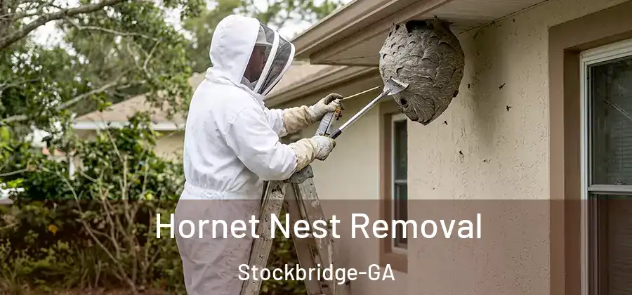 Hornet Nest Removal Stockbridge-GA