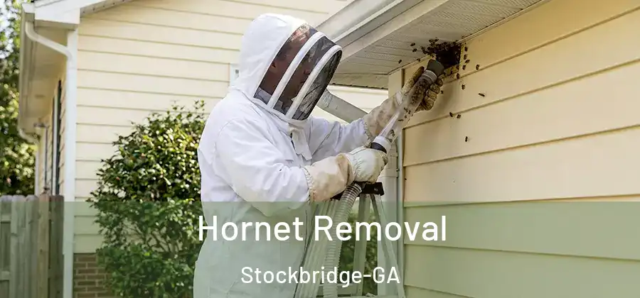 Hornet Removal Stockbridge-GA