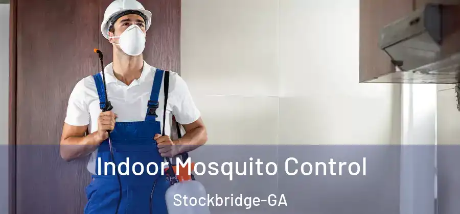Indoor Mosquito Control Stockbridge-GA
