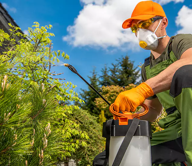 Your Best Bug Spray for Home Team in Stockbridge, GA