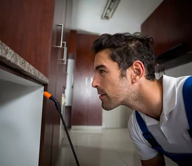 Termite Inspection Cost Experts You Can Trust in Stockbridge, GA