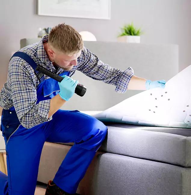 Why Choose Stockbridge Pest Control Pro For Bed Bug Heat Treatment in Stockbridge, GA?