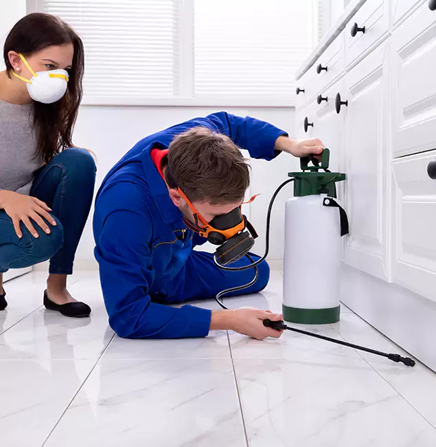 Why Stockbridge, GA Homeowners Trust Stockbridge Pest Control Pro for Roach Control?