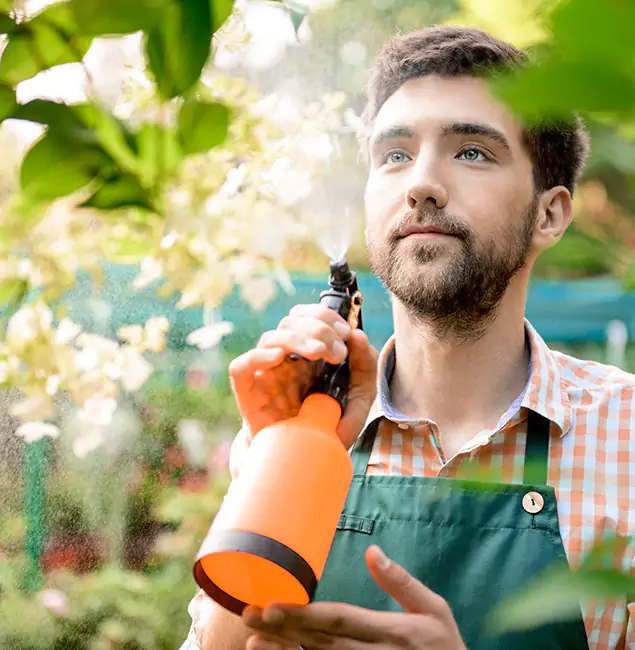Why Stockbridge Pest Control Pro Is the Best Mosquito Control Company in Stockbridge, GA?