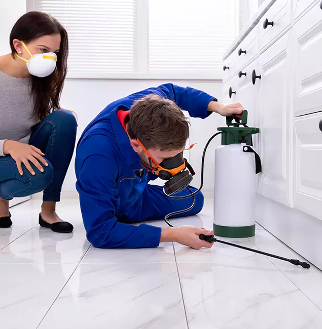 Why Choose Wood Termite Treatment by Stockbridge Pest Control Pro in Stockbridge, GA?