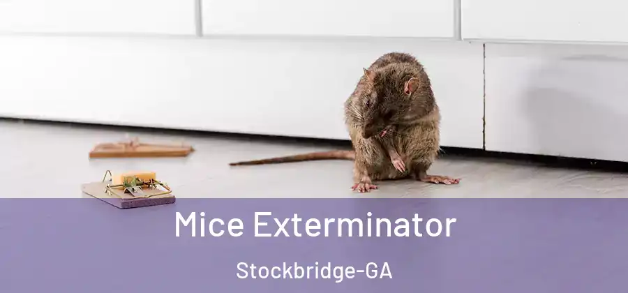 Mice Exterminator Stockbridge-GA