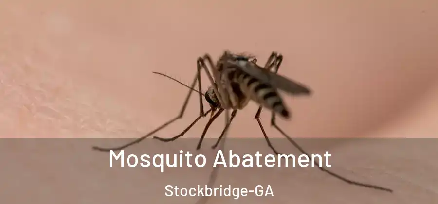 Mosquito Abatement Stockbridge-GA