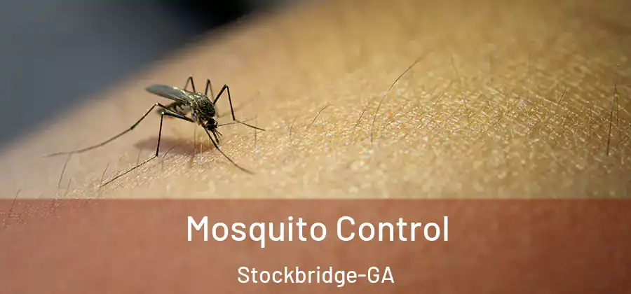 Mosquito Control Stockbridge-GA