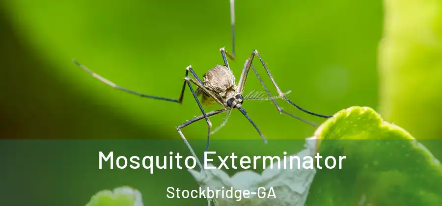 Mosquito Exterminator Stockbridge-GA