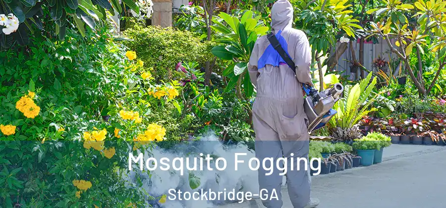 Mosquito Fogging Stockbridge-GA