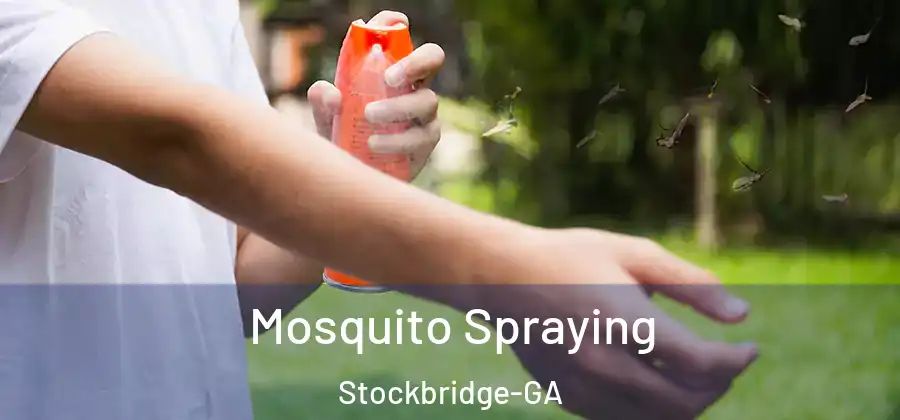 Mosquito Spraying Stockbridge-GA