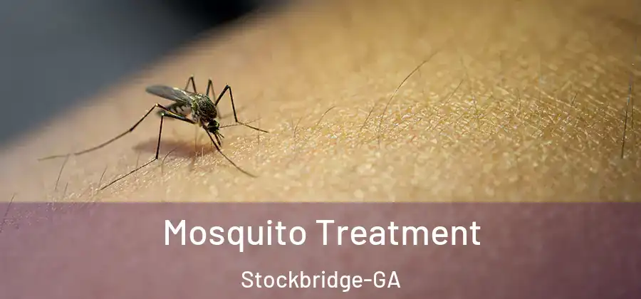  Mosquito Treatment Stockbridge-GA