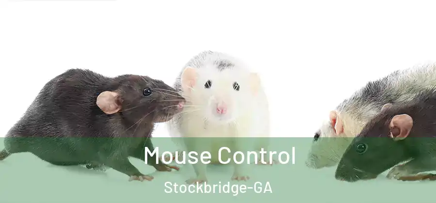 Mouse Control Stockbridge-GA