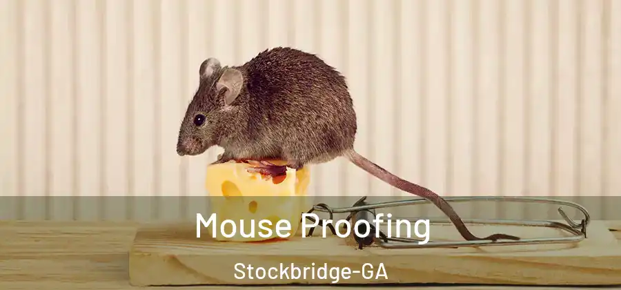 Mouse Proofing Stockbridge-GA