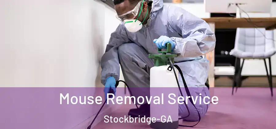  Mouse Removal Service Stockbridge-GA