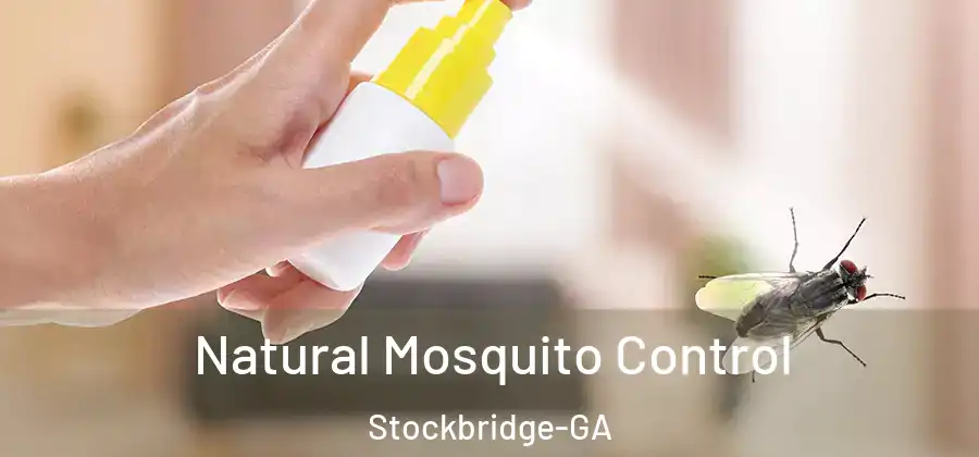  Natural Mosquito Control Stockbridge-GA