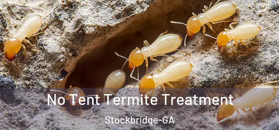 No Tent Termite Treatment Stockbridge-GA
