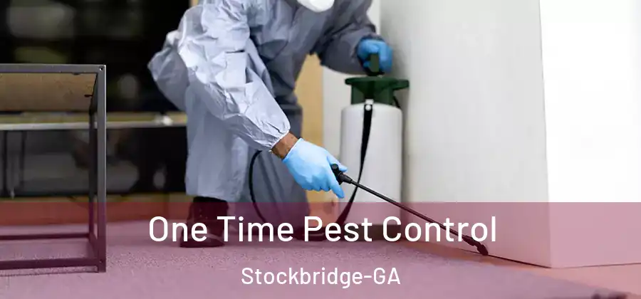  One Time Pest Control Stockbridge-GA