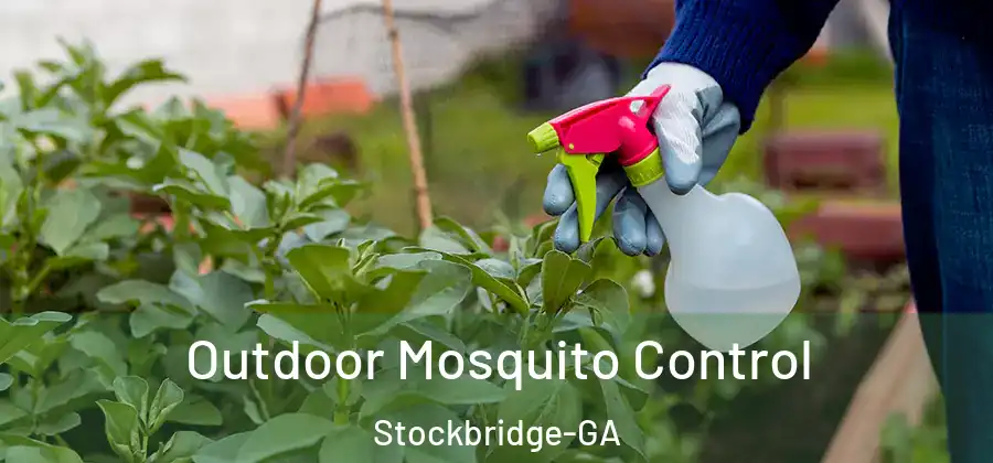 Outdoor Mosquito Control Stockbridge-GA