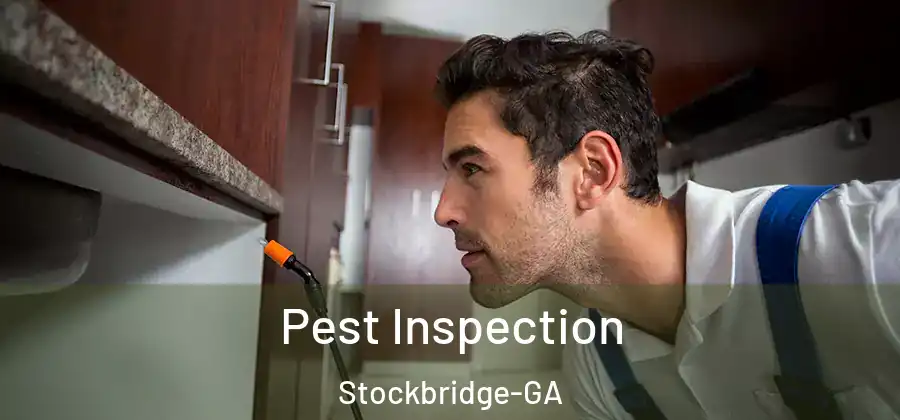 Pest Inspection Stockbridge-GA